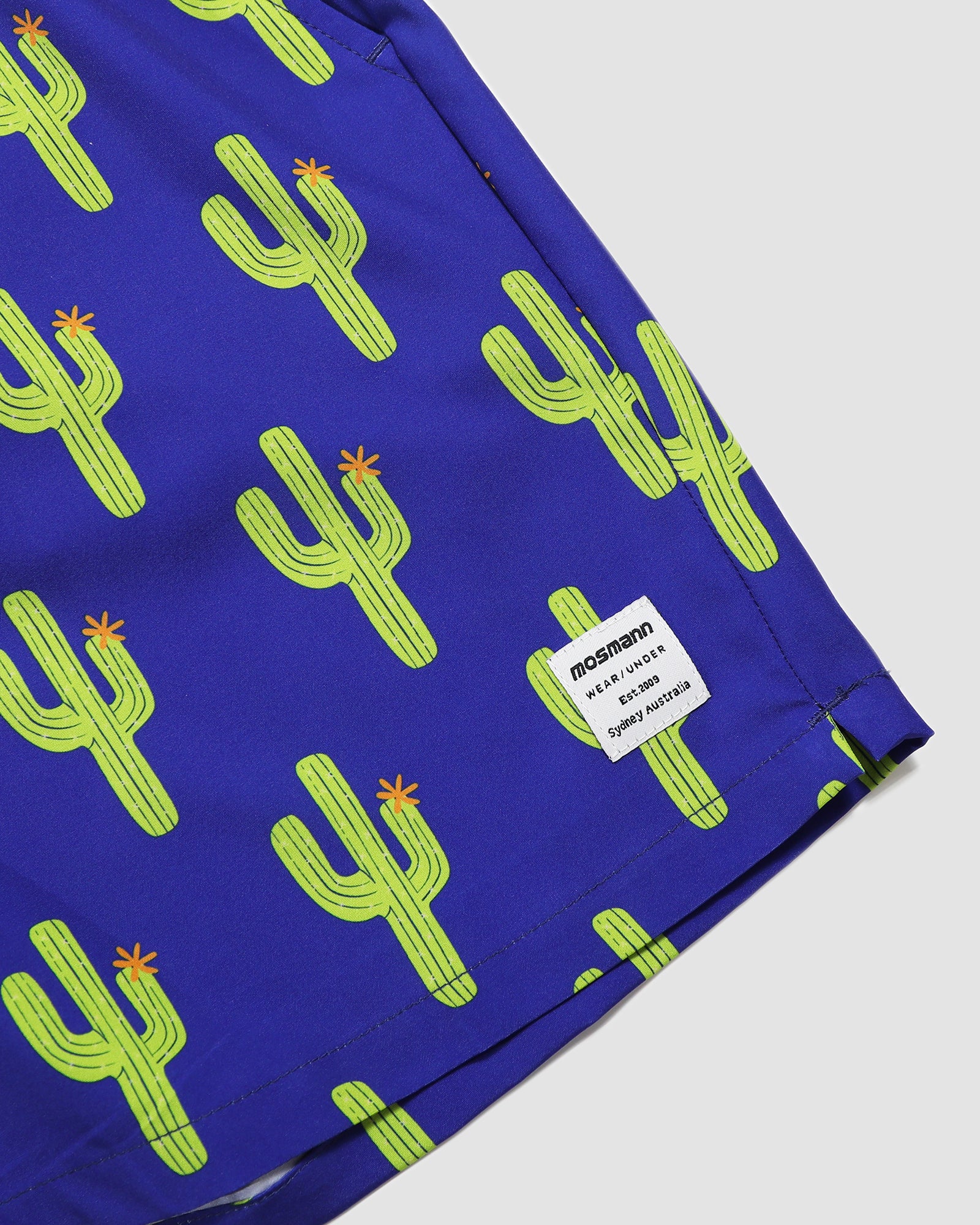 Men's Swim Shorts - Arizona