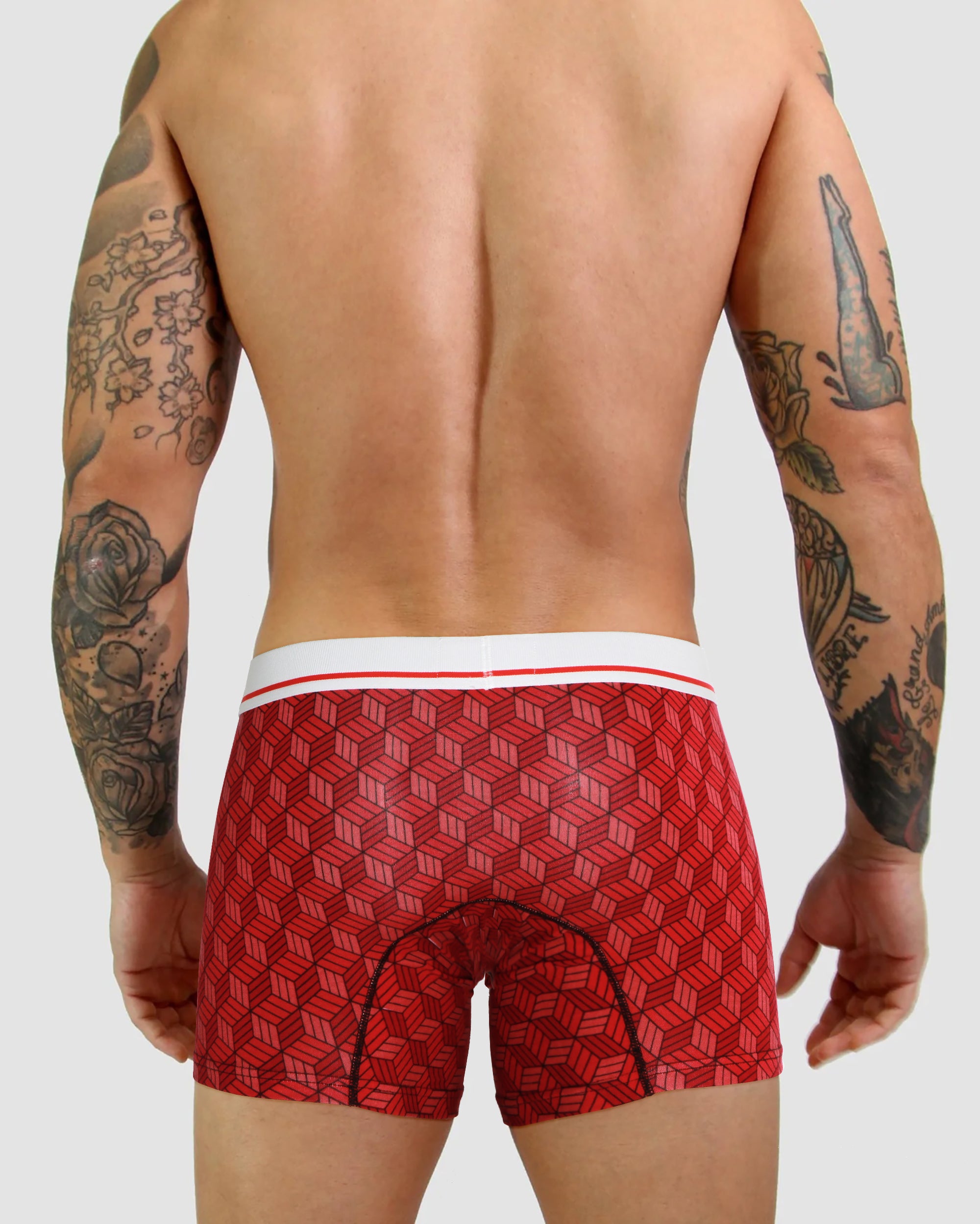 Geo Red back On Model.jpg