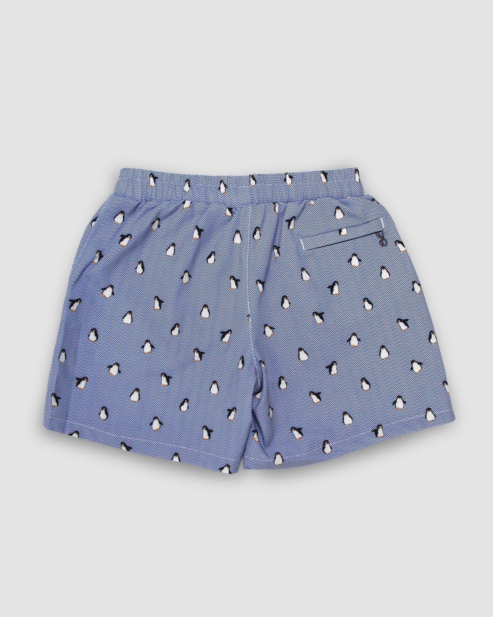Blue Boy's Swim Short Penguin Print White line