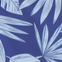 Mens Swim Shorts - Congo